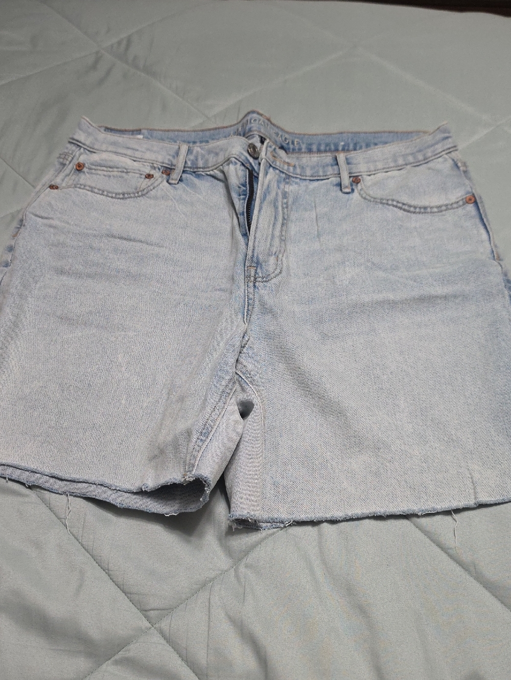 American Eagle Outfitters Light Blue Denim Shorts